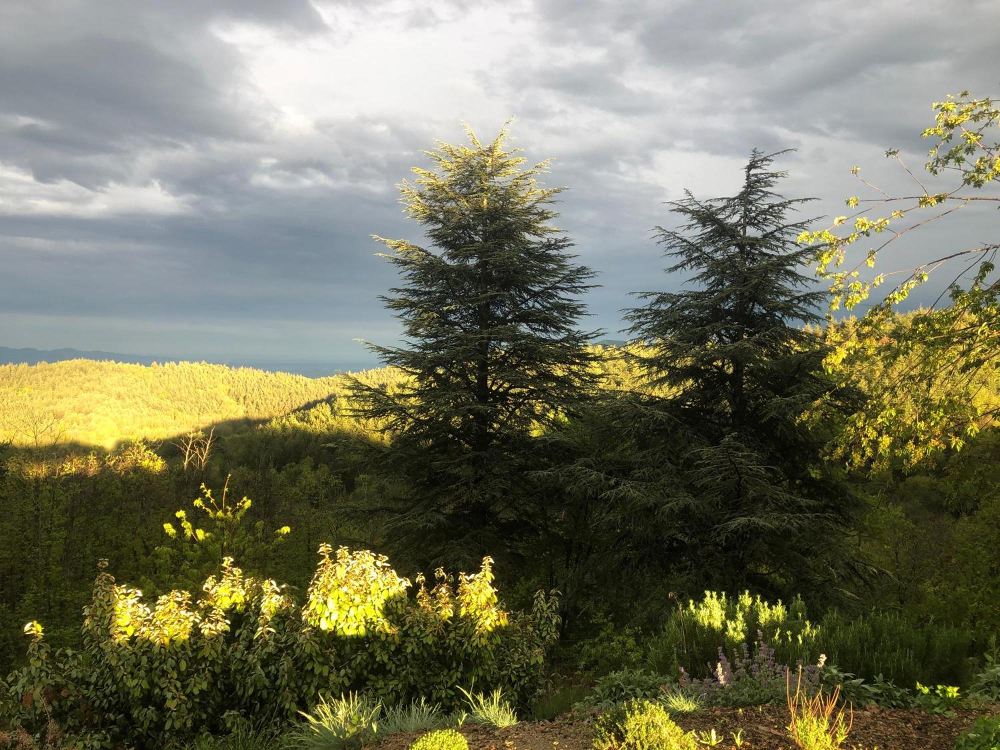 Reve D'Etoiles Bed & Breakfast Saint-Laurent-de-Cerdans Екстериор снимка