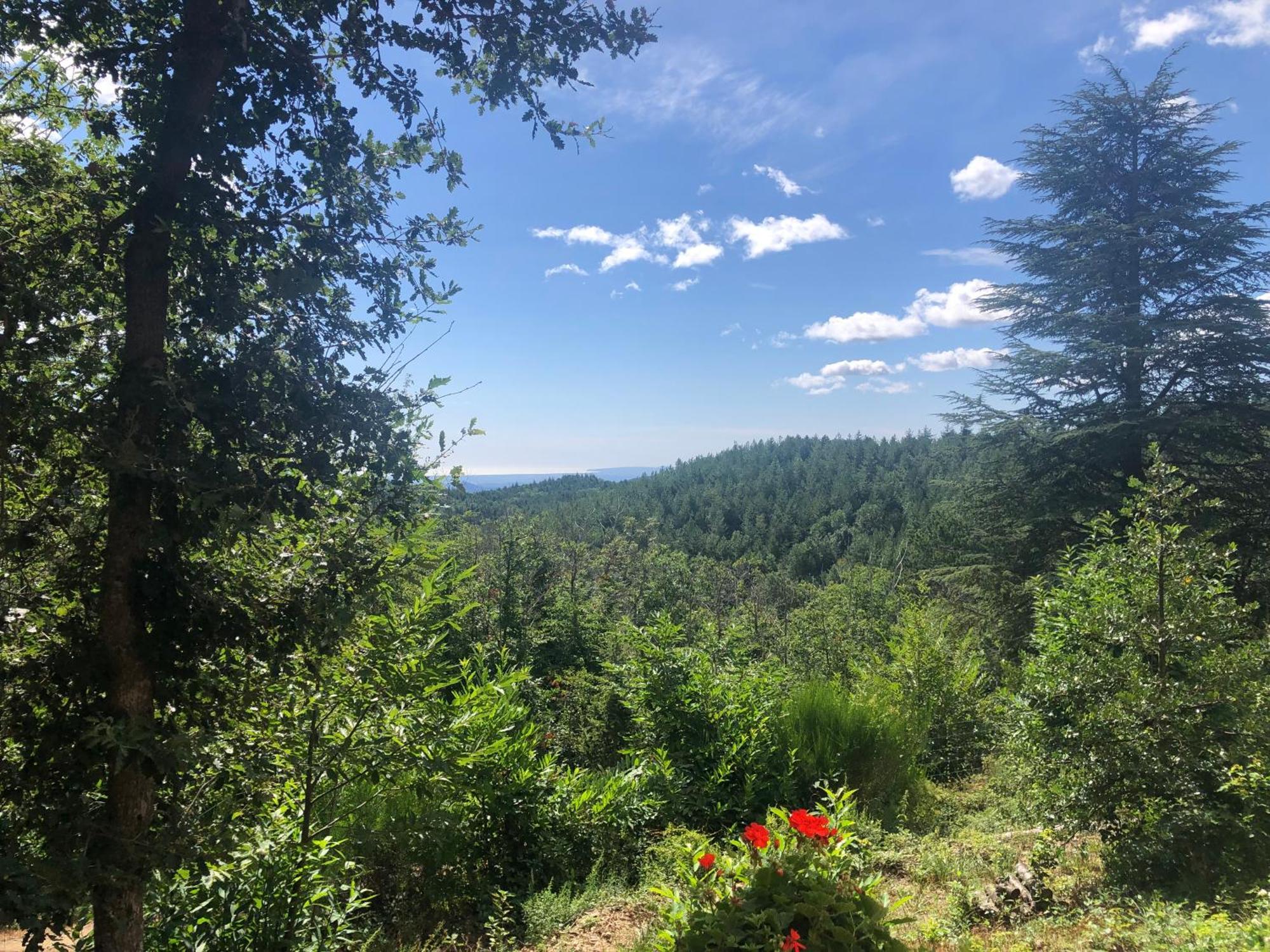 Reve D'Etoiles Bed & Breakfast Saint-Laurent-de-Cerdans Екстериор снимка